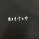 國立臺灣大學電繡網眼POLO衫_藏青