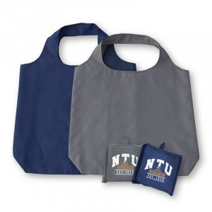 NTU提背兩用摺疊收納袋_灰/藍