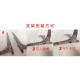 【7/15陸續出貨】NTU100 校慶識別標誌金屬圓盤_古銅 【7/15陸續出貨】NTU100 校慶識別標誌金屬圓盤_古銅