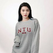 NTU經典款美式大學T_灰