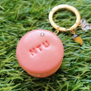 NTU臺大萌三寶松鼠施華洛世奇水鑽馬卡龍鑰匙圈