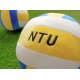 NTU刺繡仿真排球抱枕